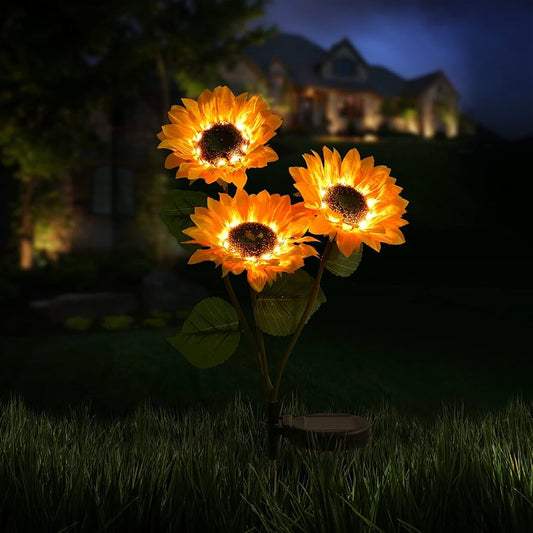 SunGlow Blossom