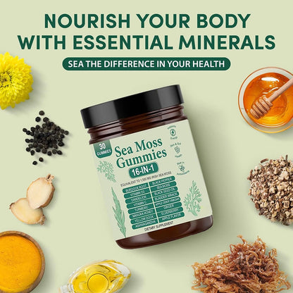Sea Moss Gummies 16-in-1 - Ashwagandha Black Seed Oil Bladder Wrack Turmeric Vitamin C & D3 with Manuka Apple Cider Vinegar