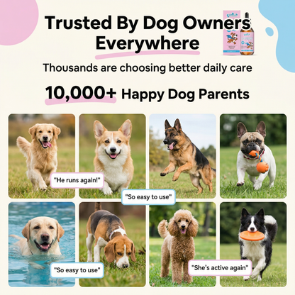 VitalPaw™ Collagen 3X Drops for Dogs