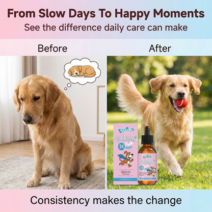 VitalPaw™ Collagen 3X Drops for Dogs