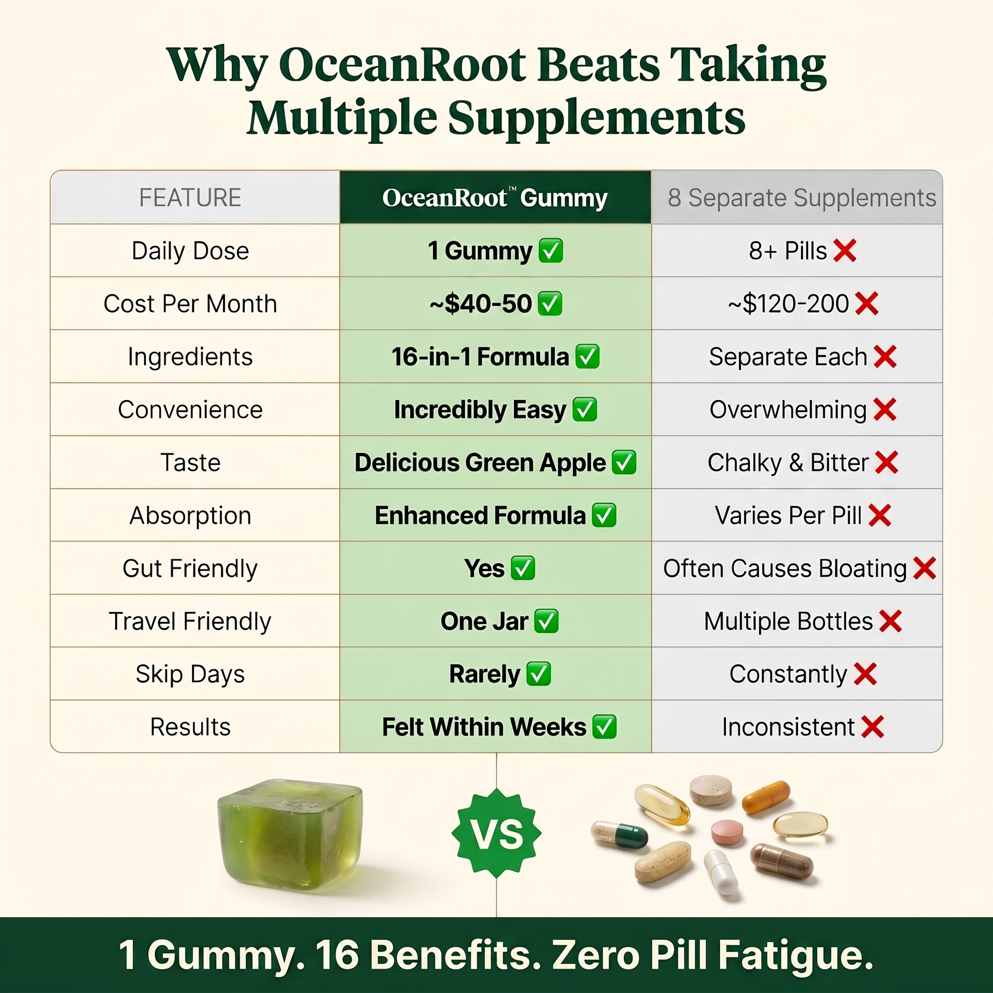 oceanroot comp img