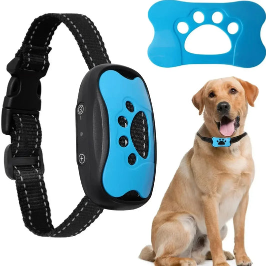 Peace Collar